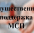 Имущественная поддержка субъектов малого и среднего предпринимательства - Бакалинский район
