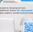 Росреестр Башкортостана обработал более 570 обращений через сервис онлайн-консультаций - Бакалинский район