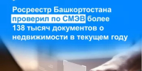Росреестр Башкортостана проверил по СМЭВ более 138 тысяч документов о недвижимости в текущем году - Бакалинский район