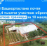 В Башкортостане почти 8,4 тысячи участков обрели четкие границы за 10 месяцев 2025 года - Бакалинский район